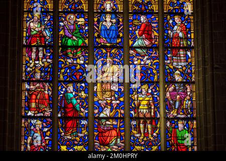 Frankreich, Ille-et-Vilaine, Vitr?, Bühne auf dem Weg nach Santiago de Compostela, 15.. Und 16.. Jahrhundert Notre-Dame de Vitr? kirche, Baum des Jesse Stockfoto