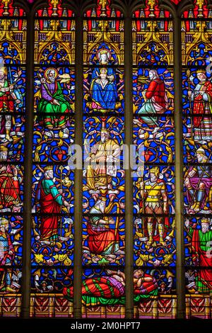 Frankreich, Ille-et-Vilaine, Vitr?, Bühne auf dem Weg nach Santiago de Compostela, 15.. Und 16.. Jahrhundert Notre-Dame de Vitr? kirche, Baum des Jesse Stockfoto