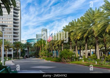 Anaheim, CA, USA – 1. November 2022: Blick auf die Straße des Anaheim Convention Center und Palmen vom Convention Way in Anaheim, Kalifornien. Stockfoto