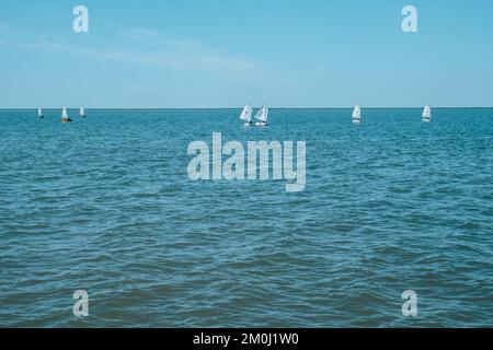 Segelregatta der Juniorklasse. Stockfoto