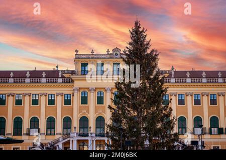 Schloss Schönbrunn und sein Weihnachtsbaum bei Sonnenuntergang. Traditionelles Panorama des Weihnachtsmarkts auf der Burg Sissi in Wien. Stockfoto