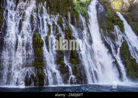 Ein wunderschönes Bild von den Burney Falls im McArthur-Burney Falls Memorial State Park, Kalifornien Stockfoto