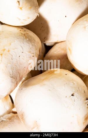 Die Konsistenz von Pilzen als Hintergrund. Ein Nahschuss Pilze. Makrofoto.Champignons. Stockfoto