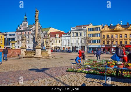 KOLIN, TSCHECHISCHE REPUBLIK - 9. MÄRZ 2022: Die Verkaufsstände des Blumenmarkts mit Blumen in Töpfen auf dem historischen Karlovo-Platz am 9. März in Kolin Stockfoto