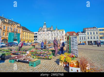 KOLIN, TSCHECHISCHE REPUBLIK - 9. MÄRZ 2022: Kleine Marktstände mit Pflanzen und Blumen auf dem Karlovo-Platz in der Altstadt am 9. März in Kolin Stockfoto