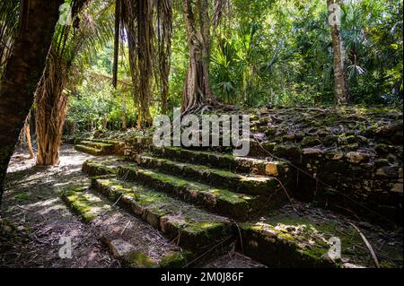 Antike Pyramide im Maya-Dorf Chacchoben, Mexiko Stockfoto