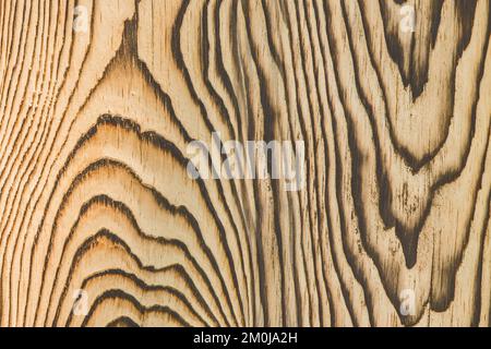 Helle Holzoberfläche mit natürlichen schwarzen verbrannten Mustern Design Dekoration Dekoration Dekor Textur Holzhintergrund. Stockfoto