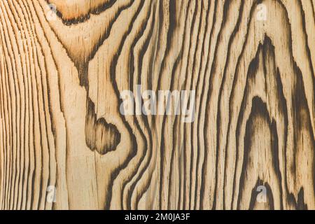 Helle Holzoberfläche mit natürlichen schwarzen verbrannten Mustern Design Dekoration Dekoration Dekor Textur Holzhintergrund. Stockfoto
