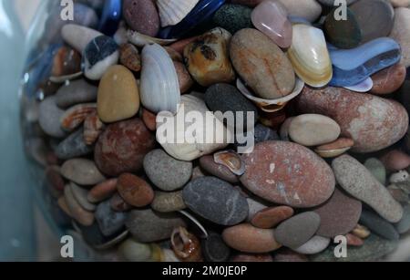 Mischung aus runden glatten Meeressteinen und kleinen Muscheln in Einem Glasfischglas Stockfoto