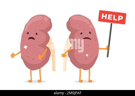 Cartoon traurige, leidende, kranke Nierenfiguren. Ungesunde Schädigung des Urogenitalsystems menschliches internes Organmaskottchen mit Hilfe-Zeichen. Krankheitsbild und Schmerzniere. Cartoon-Vektor-EPS-Illustration Stock Vektor