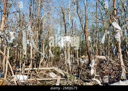 Bonita Beach Bonita Springs Florida, Little Hickory Island Hickory Boulevard, Hurrikan Ian Schadenszerstörung zerstörte Trümmer Müll von Menschen gemacht, sh Stockfoto