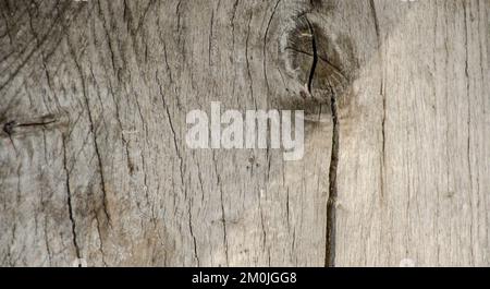 Alte Baumstruktur mit Rissknoten, Foto mit flacher brauner Struktur. Nahaufnahme eines geknoteten toten Baumstamms Stockfoto