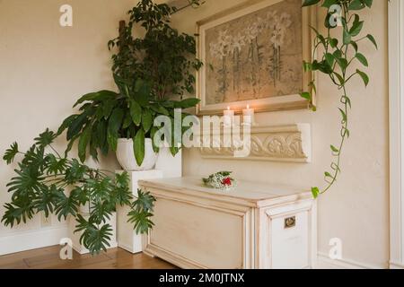 Gebleichte hölzerne Aufbewahrungskiste und grüne Zimmerpflanzen im Hauptschlafzimmer auf dem Dachboden im alten Haus im Stil von ca. 1840. Stockfoto