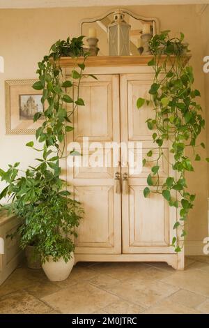 Gebleichter Holzschrank mit kaskadierenden Pflanzen im Hauptschlafzimmer auf dem Dachboden im alten, ca. 1840 Jahre alten Haus im Cottage-Stil. Stockfoto