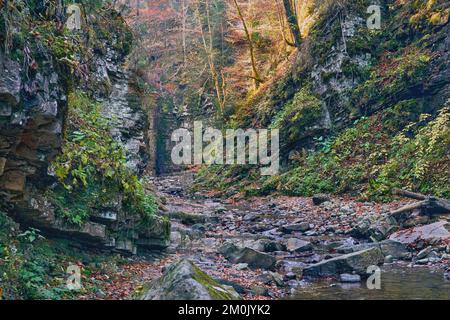 Herbstliche Waldlichtung mit Steinen und Felsbrocken in hellen, sonnigen Farben Stockfoto