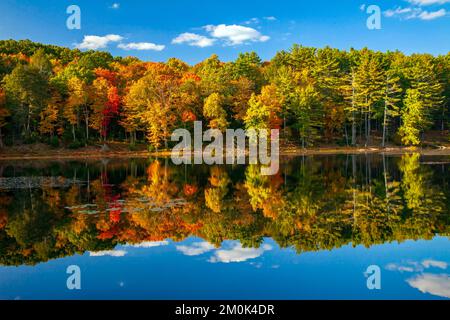 Egypt Mills Pond in der Delsaware Water Gap Nationsal Recreation Area, Pennsylvania, ist ein beliebtes Gebiet für Wildtiere und gilt als ein bedeutendes Vogelgebiet. Stockfoto