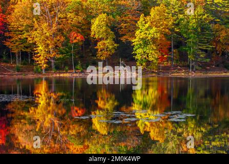 Egypt Mills Pond in der Delsaware Water Gap Nationsal Recreation Area, Pennsylvania, ist ein beliebtes Gebiet für Wildtiere und gilt als ein bedeutendes Vogelgebiet. Stockfoto