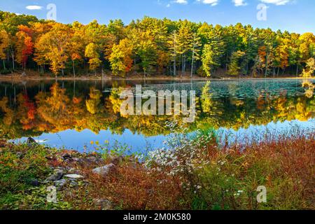 Egypt Mills Pond in der Delsaware Water Gap Nationsal Recreation Area, Pennsylvania, ist ein beliebtes Gebiet für Wildtiere und gilt als ein bedeutendes Vogelgebiet. Stockfoto