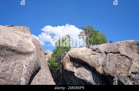 Riesige Felsformationen hoch in den Bergen mit wachsenden Bäumen an sonnigen Sommertagen Stockfoto