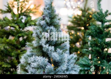 Köln, Deutschland. 24.. November 2022. Weihnachtsbäume aus Kunststoff (PVC) werden in einem Baumarkt verkauft. (An dpa: „Nachhaltiges Weihnachten: Welcher Baum ist der beste für die Umwelt?“) Kredit: Rolf Vennenbernd/dpa/Alamy Live News Stockfoto