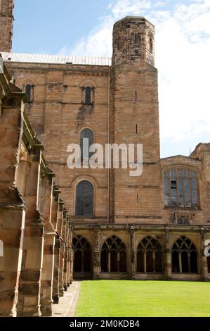 Kloster, Durham Cathedral, Durham, Grafschaft Durham, Tyne und Wear, UK. Durham Cathedral ist eine normannische Kathedrale, die zwischen 1093 und 1133 im RO erbaut wurde Stockfoto