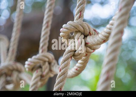 Klettern Sie ein Netz Nahaufnahme Klettern Sie das Netz, wählen Sie Fokus Grüner Naturhintergrund. Stockfoto