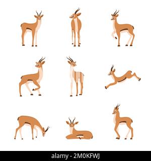 Elegante afrikanische Antilope. Ein Satz Gazellen mit Hörnern auf weißem Hintergrund. Säugetier. Vektordarstellung im flachen Cartoon-Stil Stock Vektor