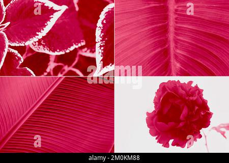 Eine Collage mit der modischen Farbe von 2023 – Viva Magenta. Trendfarbe 2023. Stockfoto