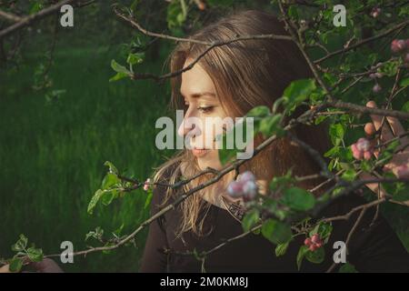 Nahaufnahme einer Frau, die ein zartes Kirschblüten-Ast-Porträt berührt Stockfoto