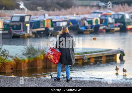 Eine Frau füttert Wildvögel in Saint Mary's Marina Rufford, Lancashire. 7.. Dezember 2018. Britisches Wetter: 4C Uhr sehr kalt, trüb, neblig, Beginn des Tages, wenn die Sonne über dem Yachthafen am Leeds Liverpool Kanal aufgeht. MediaWorldImages/AlamyLiveNews. Stockfoto