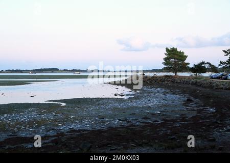 Abenddämmerung und Blick auf den Fluss La Marle vom Ufer von Le Conleau bei Ebbe, Le Conleau, Vannes, Morbihan, Bretagne, Frankreich Stockfoto