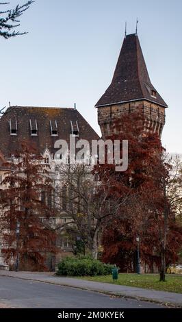 Die Burg Vajdahunyad, umgeben von wunderschönen Herbstbäumen in Budapest, Ungarn, vertikaler Schuss Stockfoto