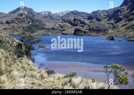 Parque Nacional Cajas, Azuay, Ecuador. Der Nationalpark El Cajas oder Cajas ist ein Nationalpark im Hochland Ecuadors. In der Provinz o Stockfoto