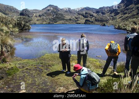 Parque Nacional Cajas, Azuay, Ecuador. Der Nationalpark El Cajas oder Cajas ist ein Nationalpark im Hochland Ecuadors. In der Provinz o Stockfoto