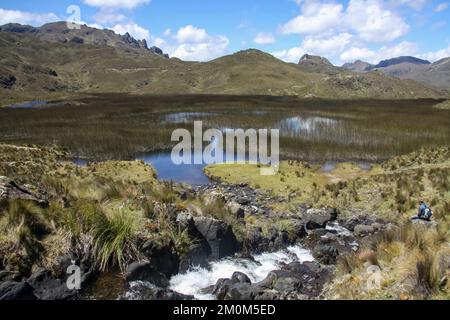 Parque Nacional Cajas, Azuay, Ecuador. Der Nationalpark El Cajas oder Cajas ist ein Nationalpark im Hochland Ecuadors. In der Provinz o Stockfoto