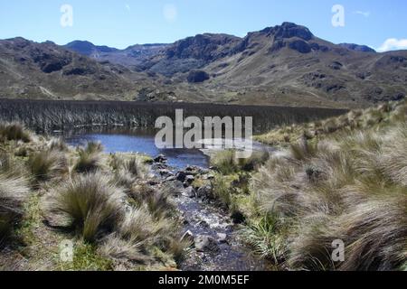 Parque Nacional Cajas, Azuay, Ecuador. Der Nationalpark El Cajas oder Cajas ist ein Nationalpark im Hochland Ecuadors. In der Provinz o Stockfoto
