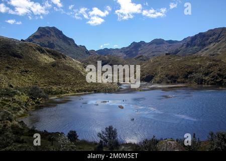 Parque Nacional Cajas, Azuay, Ecuador. Der Nationalpark El Cajas oder Cajas ist ein Nationalpark im Hochland Ecuadors. In der Provinz o Stockfoto