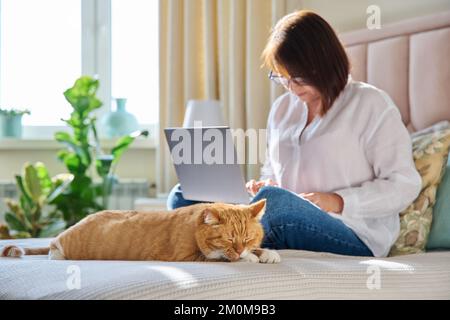 Schlafende Ingwerkatze zu Hause auf dem Bett, Frau benutzt Laptop im Hintergrund Stockfoto