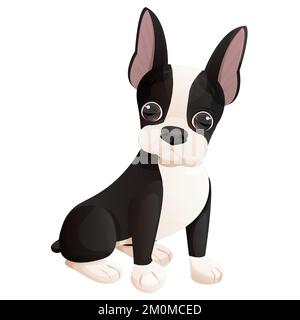 Süßes Boston Terrier cooles süßes Hündchen sitzt im Cartoon-Stil isoliert auf weißem Hintergrund. Süßer Hund, Aufdruck. Vektordarstellung Stock Vektor