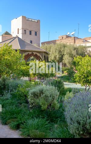 Der geheime Garten in Marrakesch. Zwei miteinander verbundene Gärten, einer ist mit exotischen Pflanzen gefüllt und der zweite ist ein islamischer Garten. Stockfoto