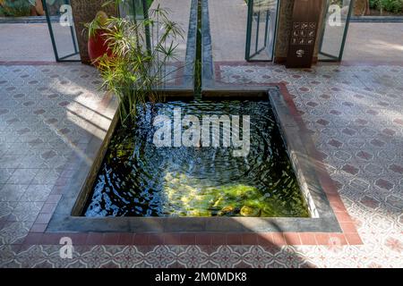 Der geheime Garten in Marrakesch. Zwei miteinander verbundene Gärten, einer ist mit exotischen Pflanzen gefüllt und der zweite ist ein islamischer Garten. Stockfoto