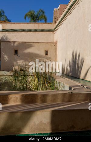 Der geheime Garten in Marrakesch. Zwei miteinander verbundene Gärten, einer ist mit exotischen Pflanzen gefüllt und der zweite ist ein islamischer Garten. Stockfoto