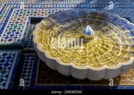 Der geheime Garten in Marrakesch. Zwei miteinander verbundene Gärten, einer ist mit exotischen Pflanzen gefüllt und der zweite ist ein islamischer Garten. Stockfoto