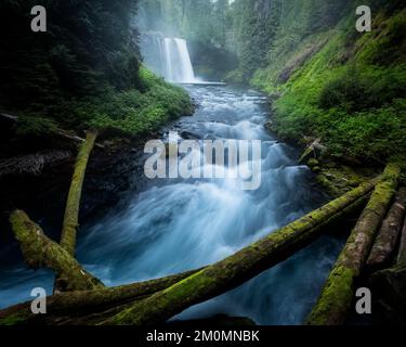 Koosah Falls, Willamette National Forest, Oregon Stockfoto