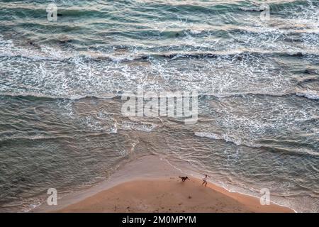 Ein Mann, der mit einem Hund an einem Strand in sizilien spielt Stockfoto