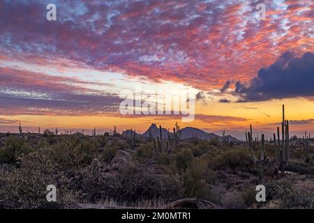 Feuriger Sonnenuntergang In Der Wüste In North Scottsdale, Arizona Stockfoto