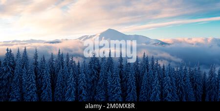 Fantastische Winterlandschaft in schneebedeckten Bergen, die bei Morgensonne glühen. Dramatische winterliche Szene mit gefrorenen verschneiten Bäumen und fließendem Nebel bei Sonnenaufgang. Hintergrund zu den Weihnachtsfeiertagen Stockfoto