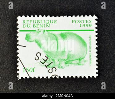 Annullierte Briefmarke gedruckt von Benin, die Hippopotamus (Hippopotamus amphibius) zeigt, ca. 1999. Stockfoto