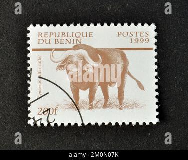 Von Benin gedruckte Briefmarke, die den afrikanischen Büffel (Syncerus Caffer) zeigt, ca. 1999. Stockfoto