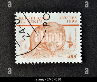 Von Benin gedruckte Briefmarke, die Potto (Perodicticus Potto) zeigt, ca. 1999. Stockfoto